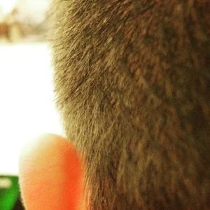 Meet your Posher, Sue